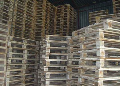 Kho Pallet gổ