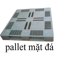 Pallet nhựa1000 x1600 x150 mm
