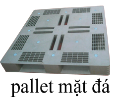 Pallet nhựa1000 x1600 x150 mm
