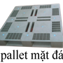 Pallet nhựa1000 x1600 x150 mm